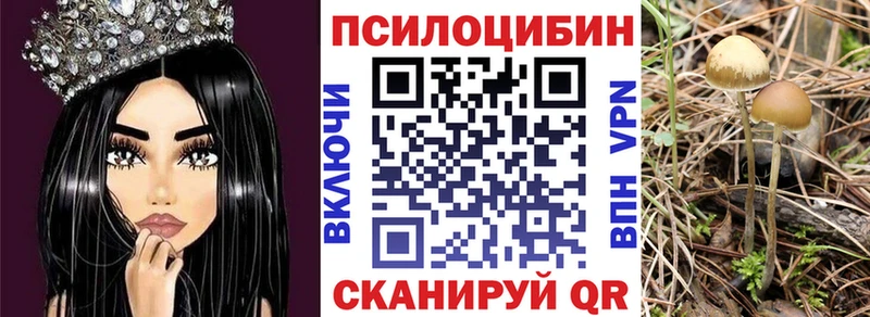 Купить где  Крым  Псилоцибиновые грибы прущие грибы 